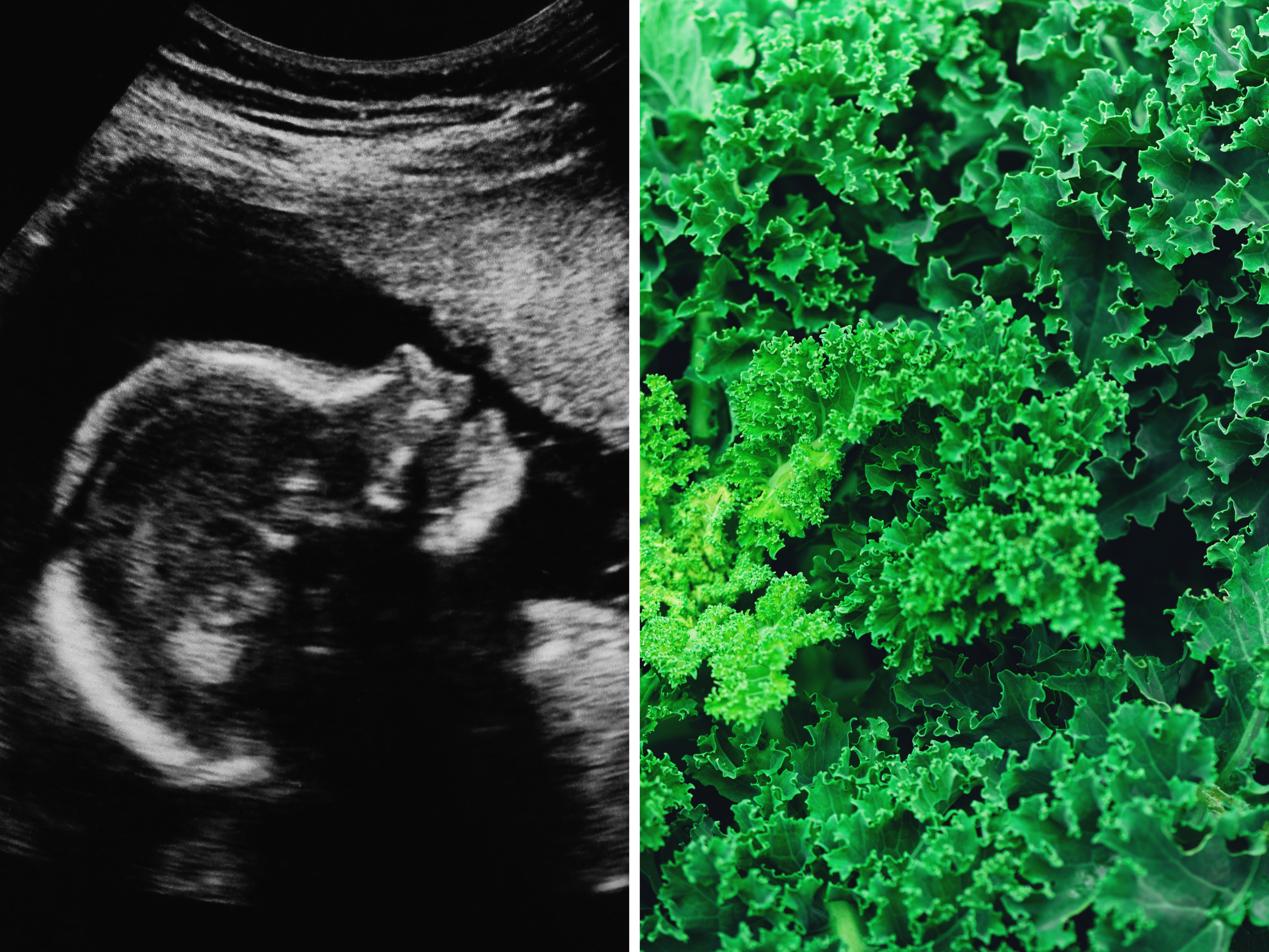 “We love veg”, say unborn babies