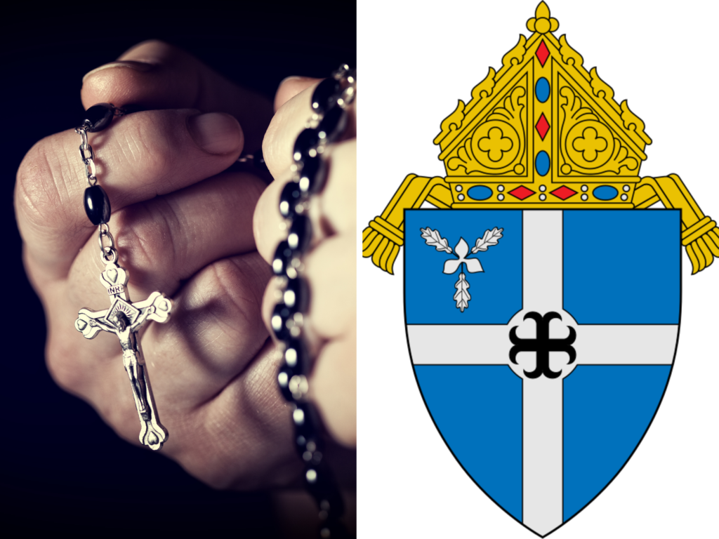 bismarck diocese