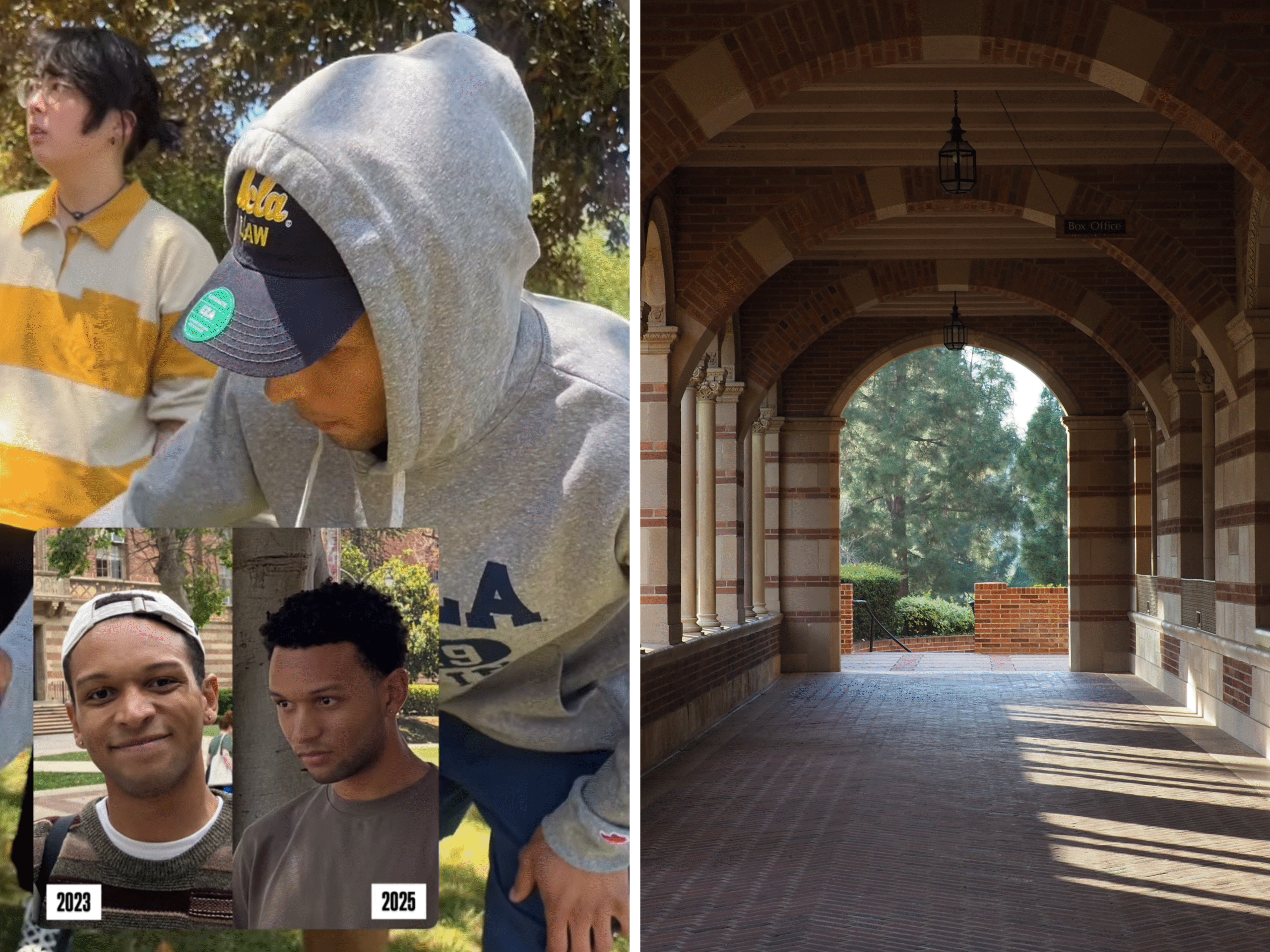 Pro-abortion man vandalises pro-life display at UCLA in another case of campus aggression and attempted censorship