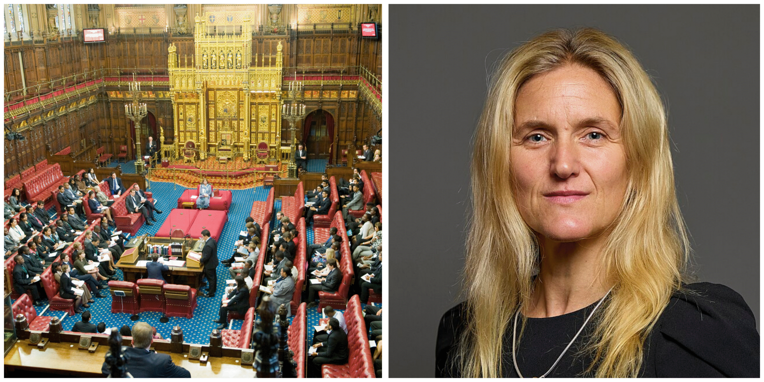 Key takeaways from Week 3 of the Leadbeater Bill Committee Hearings