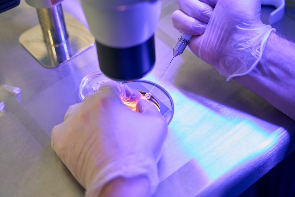 NHS Tayside puts out scary call for women to give up their eggs Reproductology laboratory assistant adding special drops with capillary holder.
