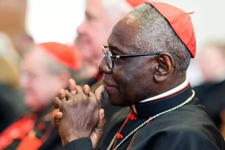 Cardinal Sarah lambasts EU for progressive “neocolonialism” in Africa